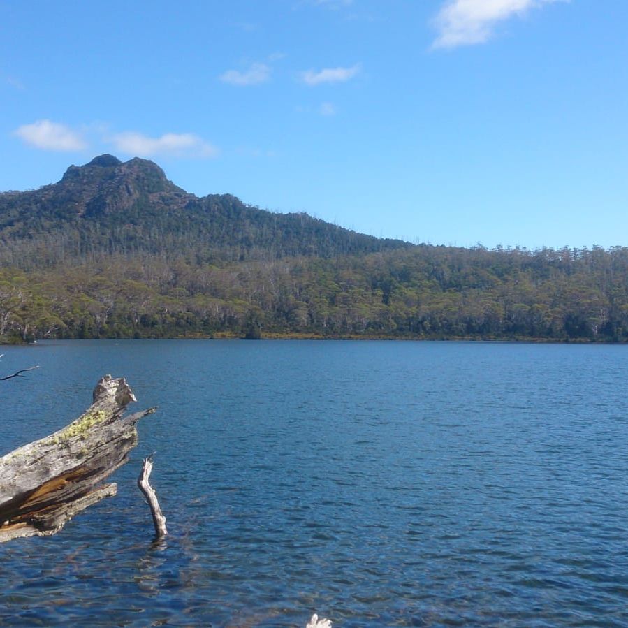 erfahrungsberichte-freiwilligenarbeit-australien-naturschutz-marvin-wasser-berge-natucate