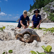 natucate-erfahrungsbericht-seychellen-north-island-sybille-schildkroeten-freiwillige