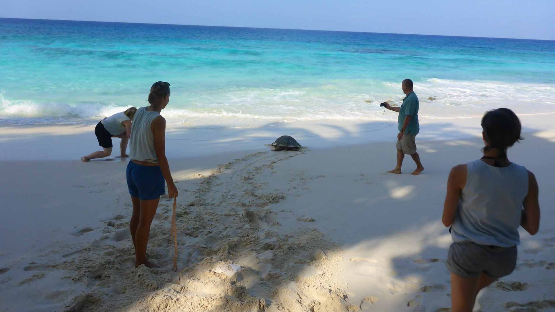 freiwilligenarbeit-seychellen-erfahrungsbericht-artenschutz-kundenfotos-natucate