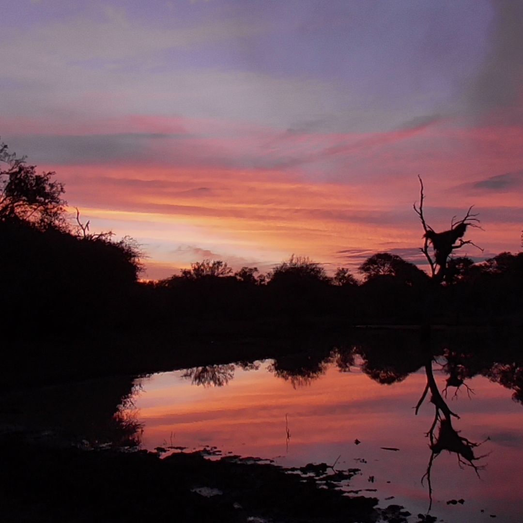 erfahrungsberichte-suedliches-afrika-fgl1-rangerausbildung-landschaft-natucate