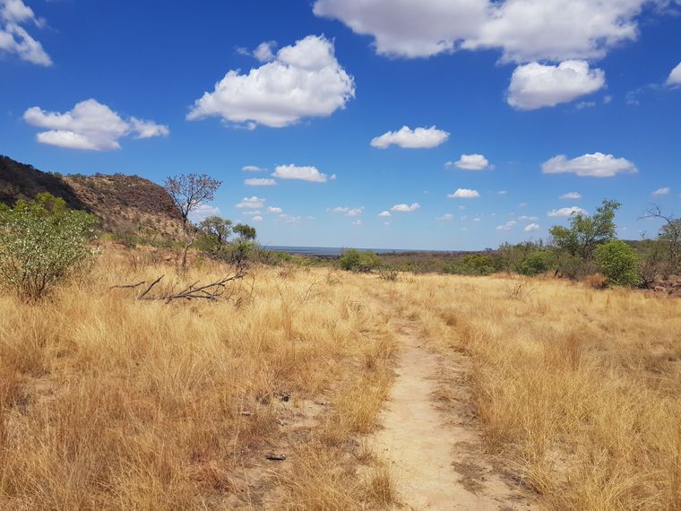 blog-ratgeber-reiseorte-marakele-nationalpark-strasse-natucate