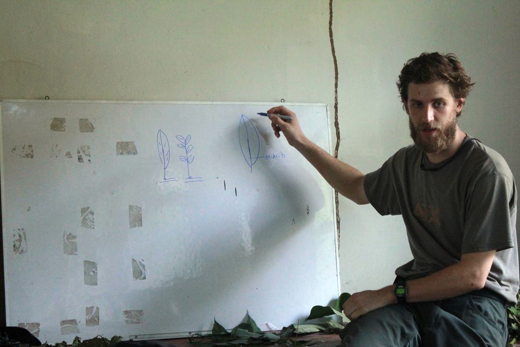 Ein Ranger erklaert anhand von Zeichnungen die verschiedenen Pflanzenarten des peruanischen Regenwaldes