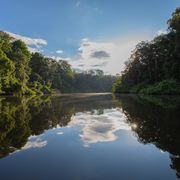 erfahrungsberichte-auslandspraktikum-sinnenswahrnehmung-peru-aida-amazonas
