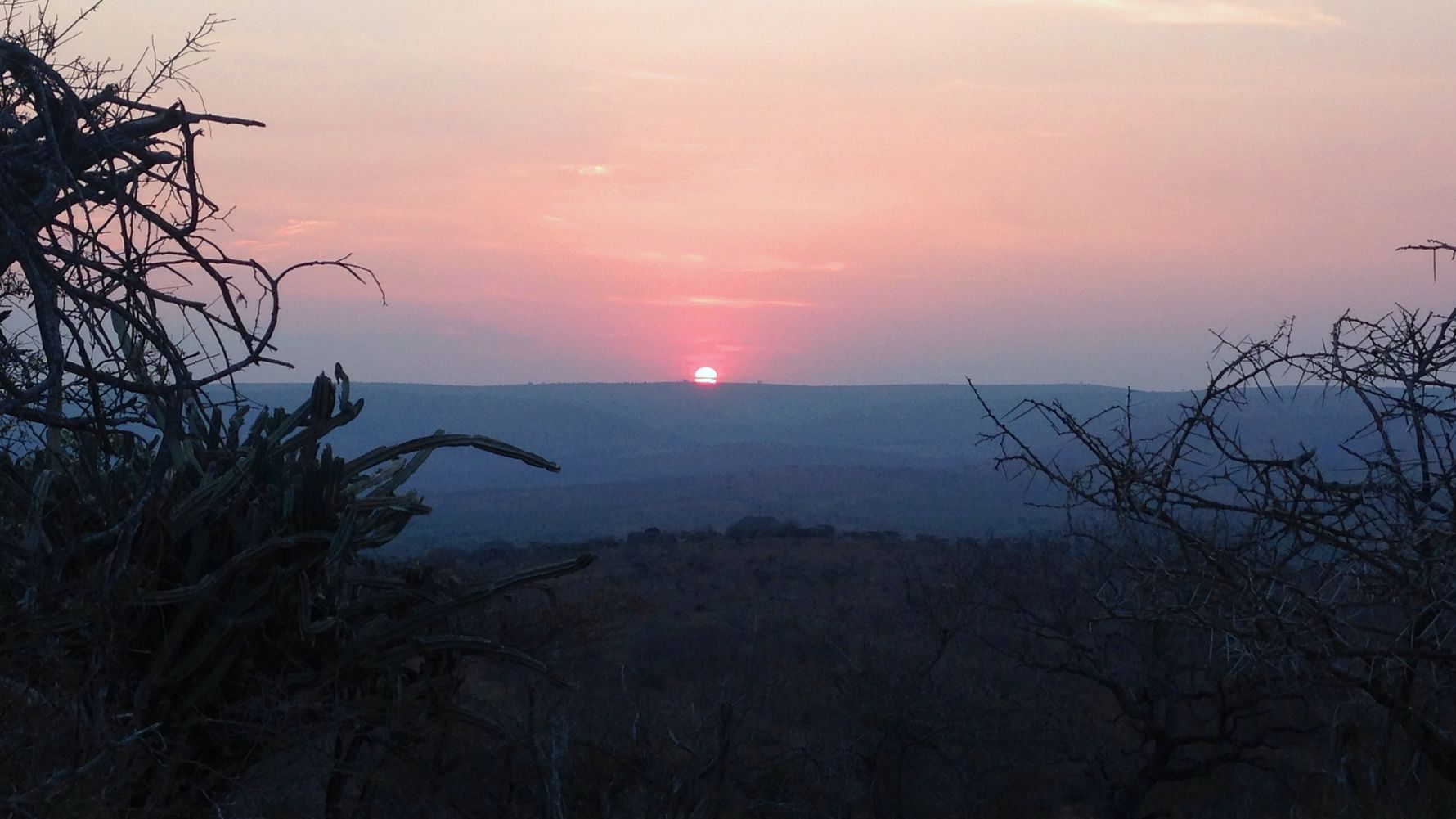 freiwilligenarbeit-suedafrika-erfahrungsbericht-kundenfotos-artenschutz-sonne-natucate