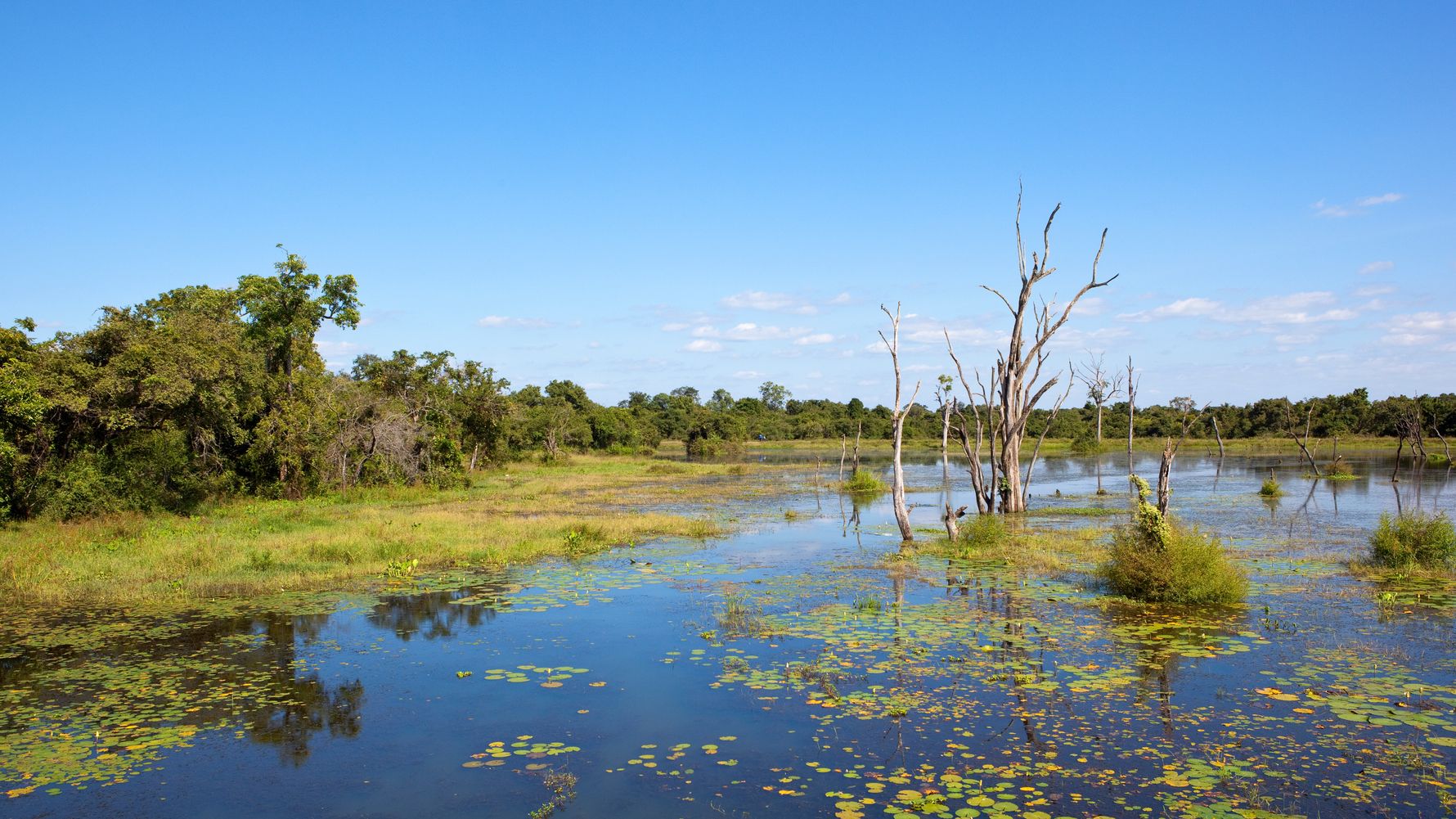 wasgamuwa-reiseort-nationalpark-flussfahrt-wasser-natucate