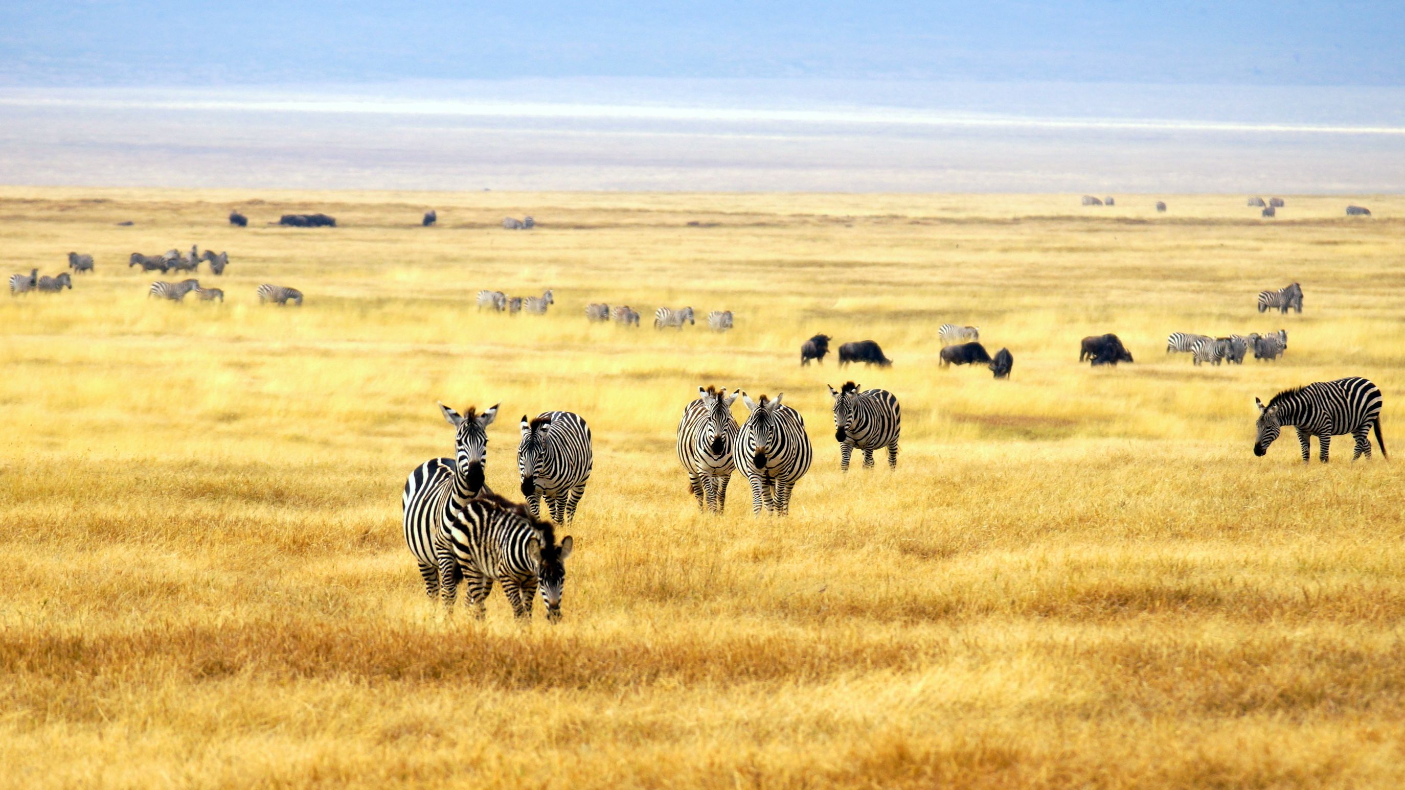 natucate-trip-kenia-masai-mara-ecoquest