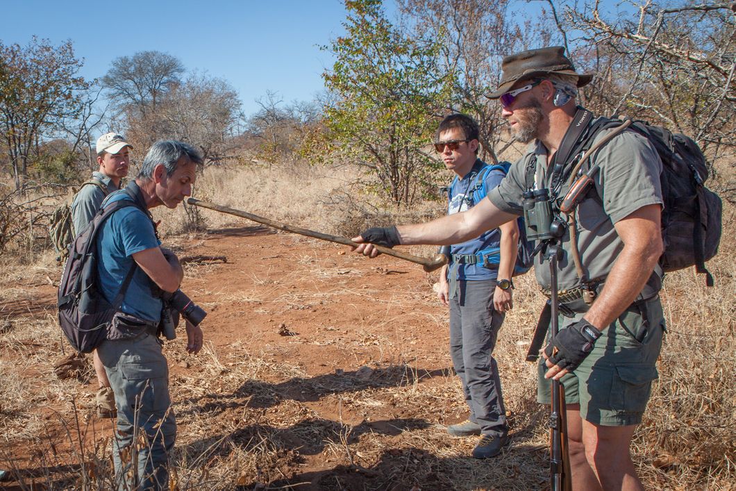 naturkurs-suedafrika-ecotracker-wildlife-monitoring-guide-tracking-natucate