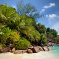 natucate-location-seychelles-platte-island