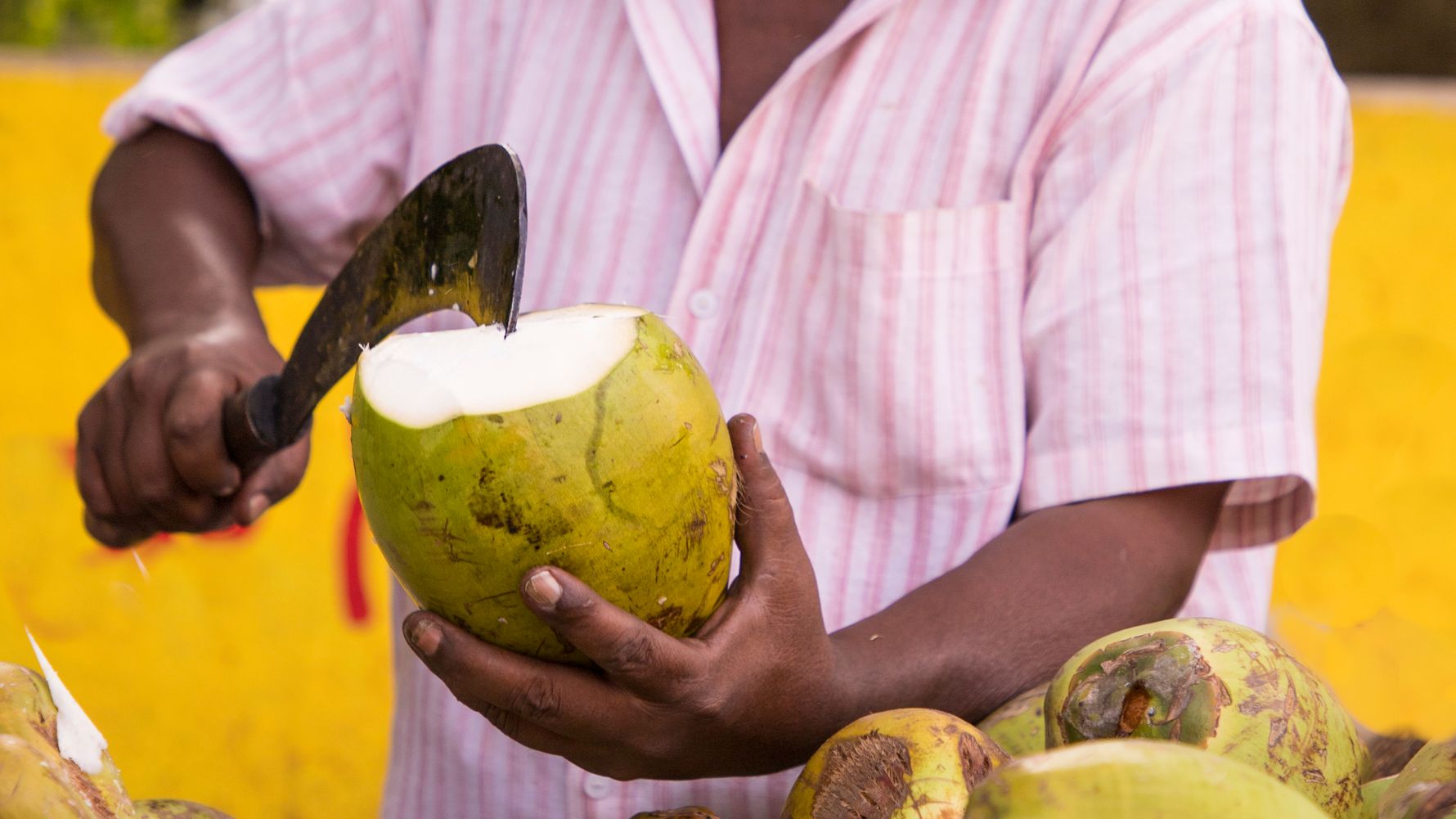 Kokosnuss wird aufgeschnitten
