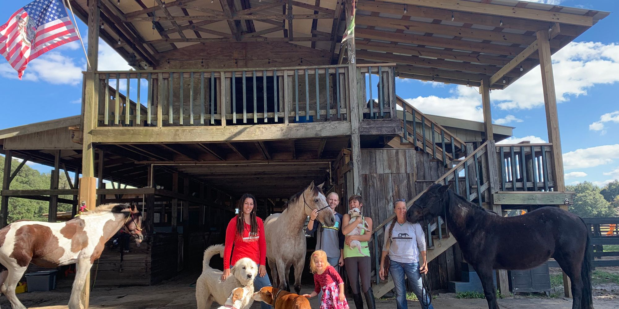 freiwilligenarbeit-usa-florida-tierschutz-mustangs-whrc-barn-natucate