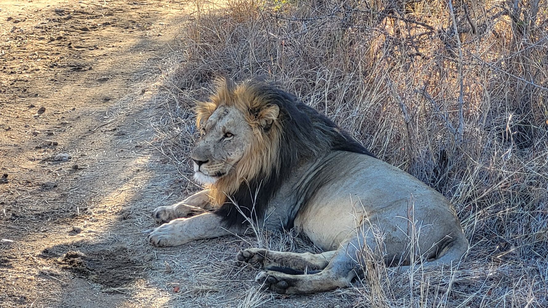 freiwilligenarbeit-siyafunda-julia-landschaft-lowe