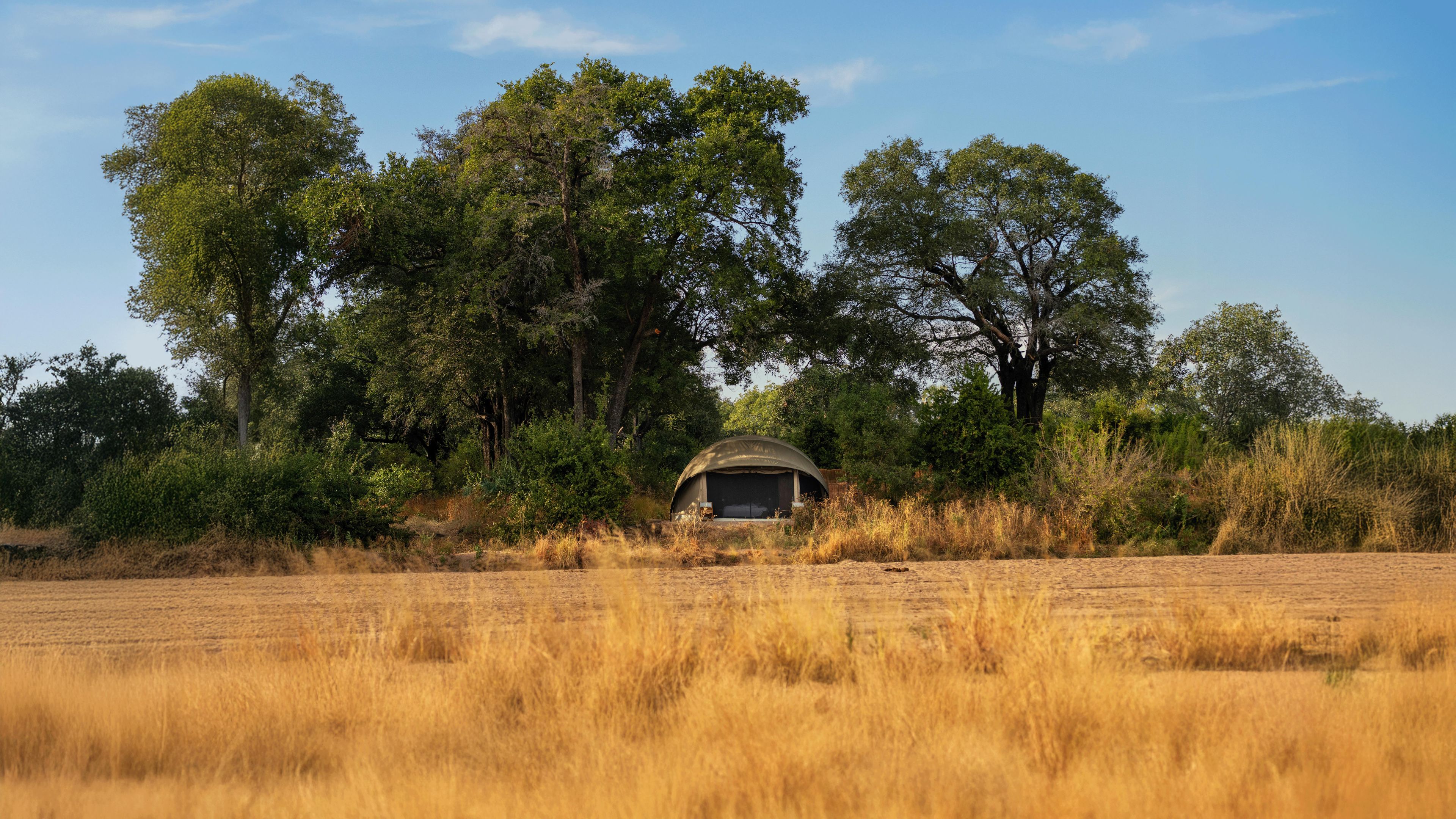 pwe-tanzania-kokoko-nature