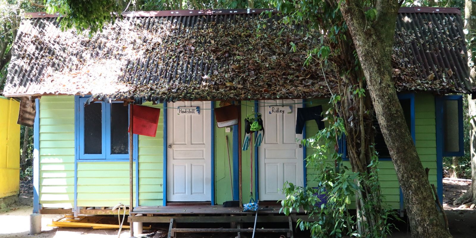 Buntes Volunteer-Haus von au&szlig;en