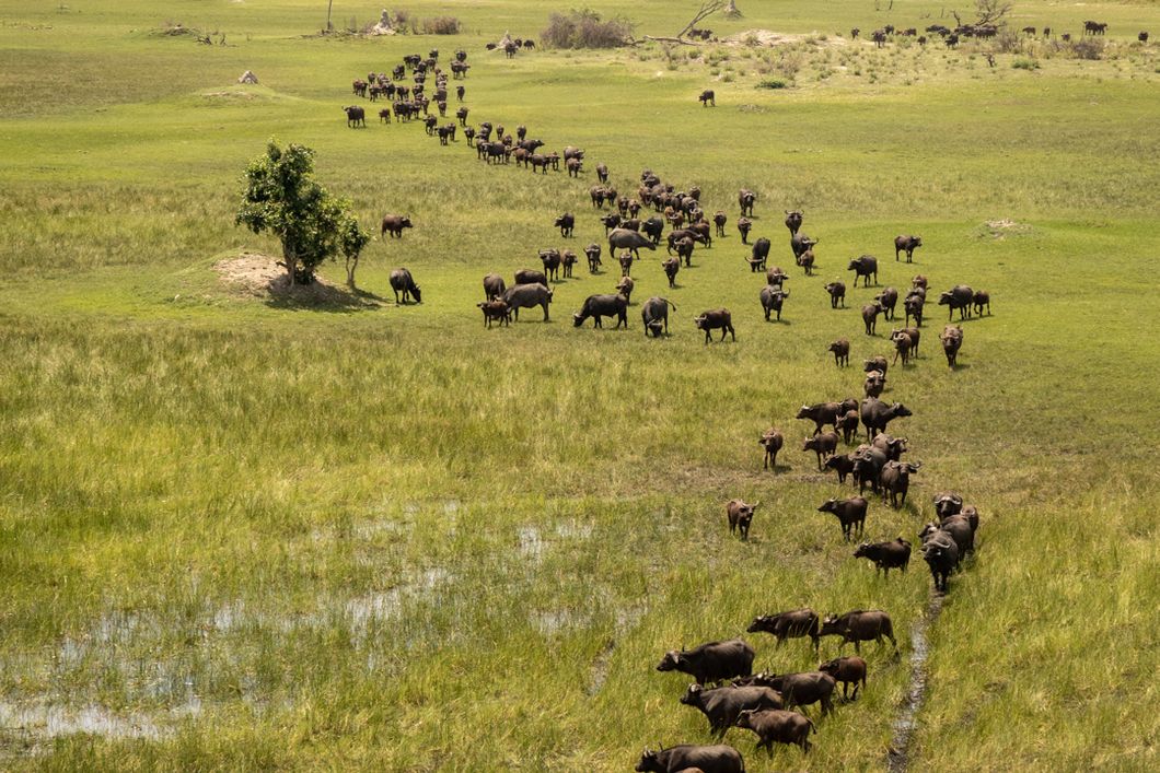 safari-botswana-bliss-deluxe-heli-landscape