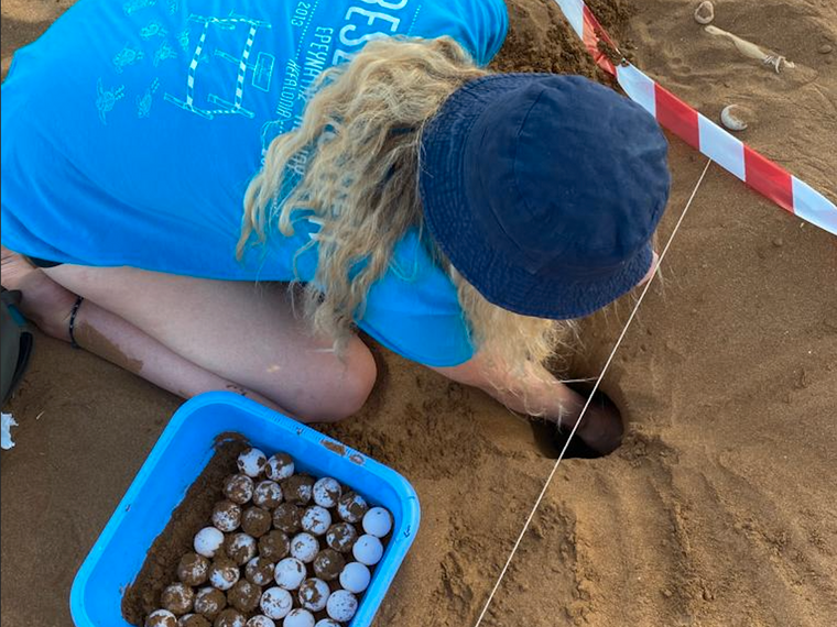 erfahrungsberichte-freiwilligendienst-griechenland-milena-schildkroeten-natucate