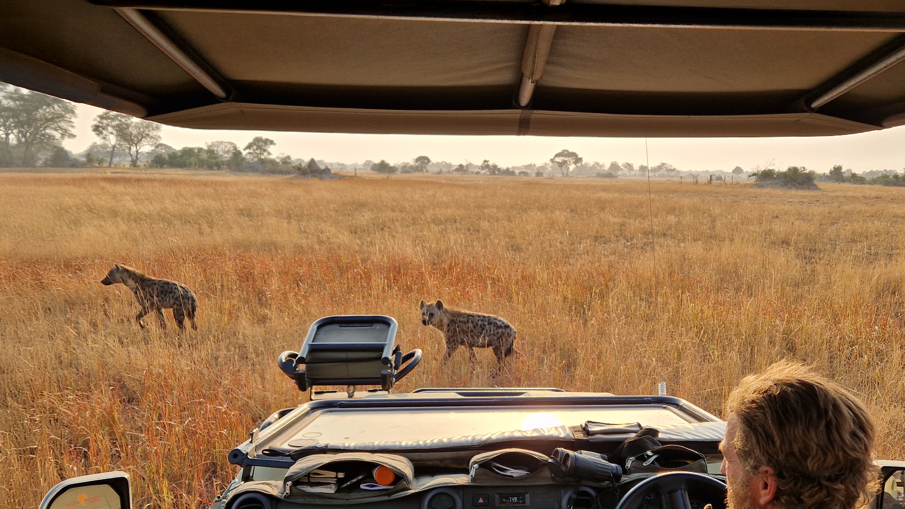 natucate-blog-news-pwe-review-meghan-wes-alan-hyenas-game-drive-botswana