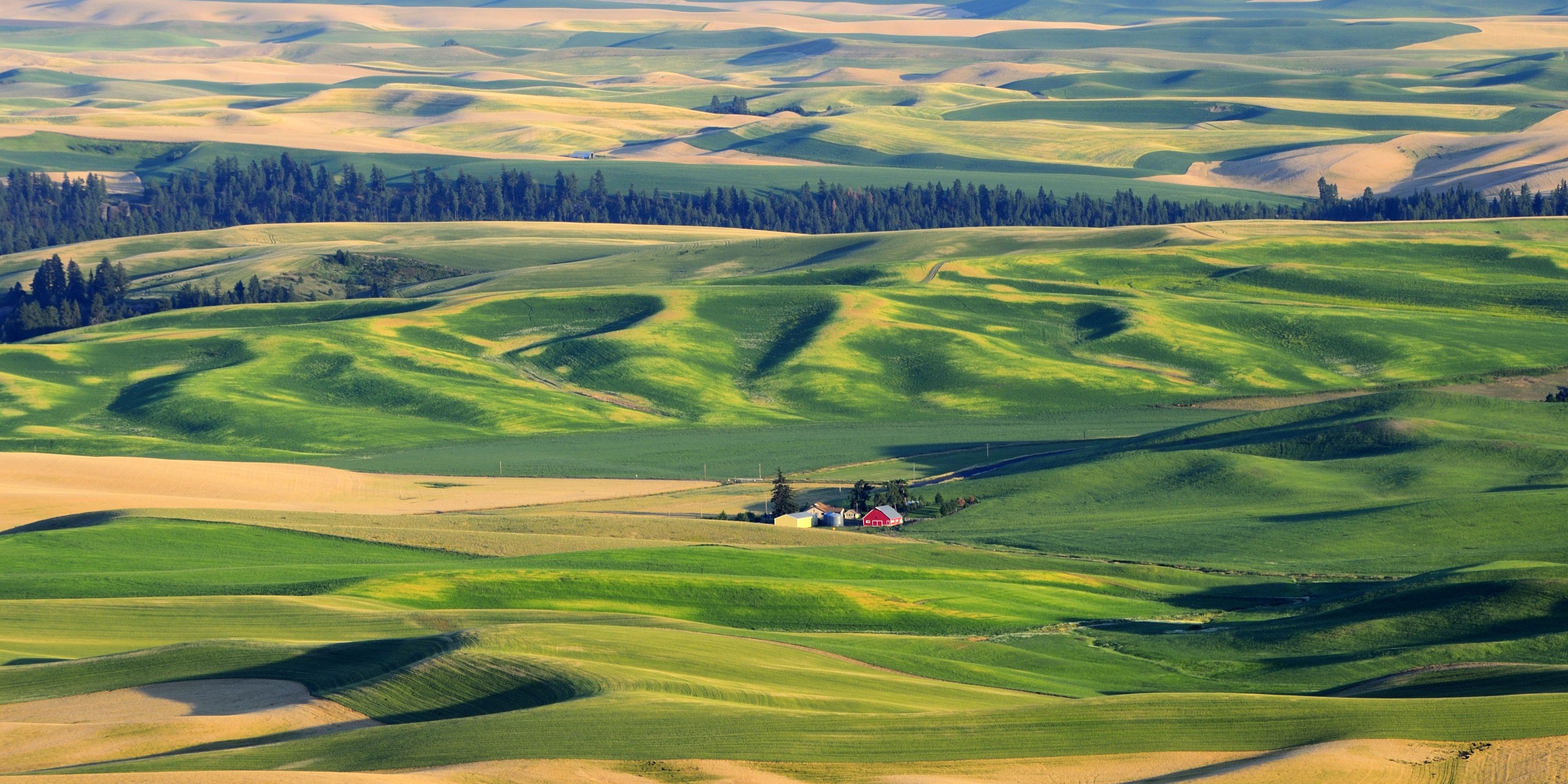 auslandspraktikum-usa-nordamerika-milchwirtschaft-landwirtschaft-felder-gruen-natucate