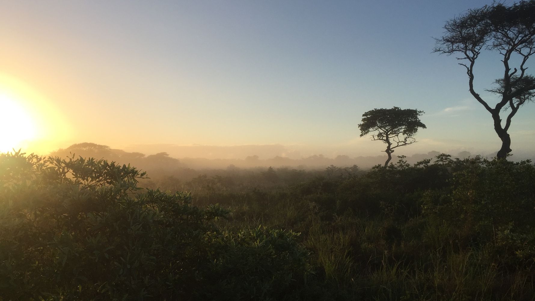 Die suedafrikanische Wildnis