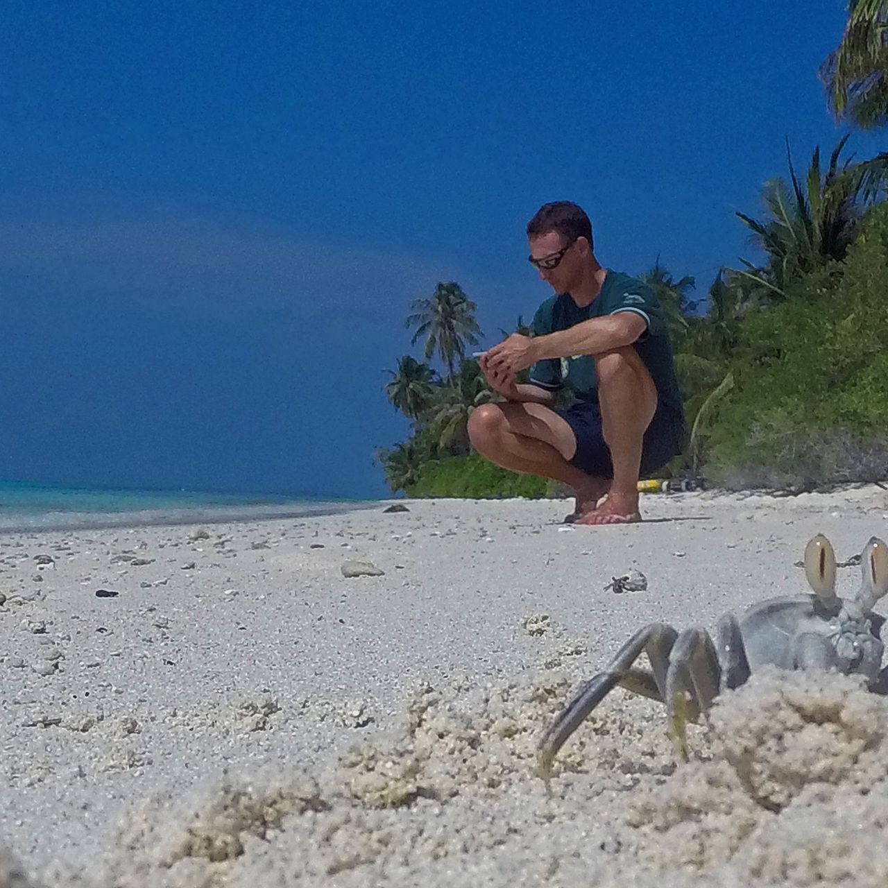 erfahrungsberichte-freiwilligenarbeit-malediven-walhaischutz-markus-krabbe-natucate