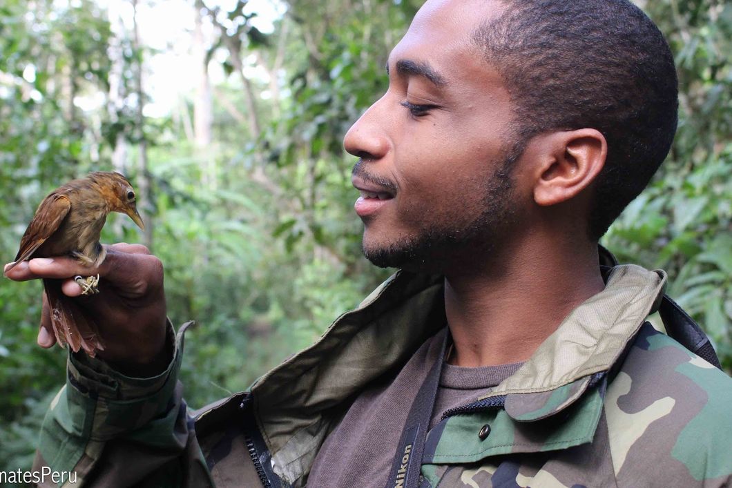 Ein kleiner brauner Vogel wird vorsichtig zu Untersuchungszwecken von einem Praktikanten auf der Hand gehalten