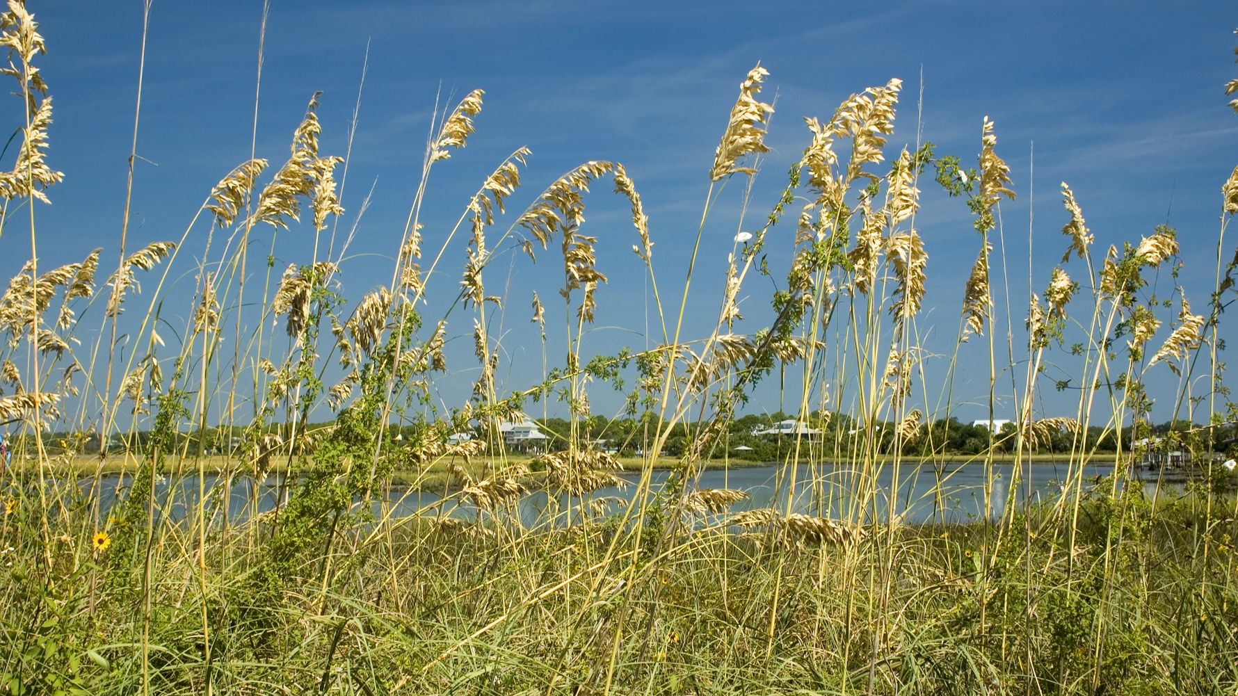 erfahrungsbericht-florida-usa-freiwilligenarbeit-tierschutz-natur-natucate