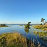 Ein Gewässer, in dem sich umliegende Pflangen spiegeln und ein blauer Himmel