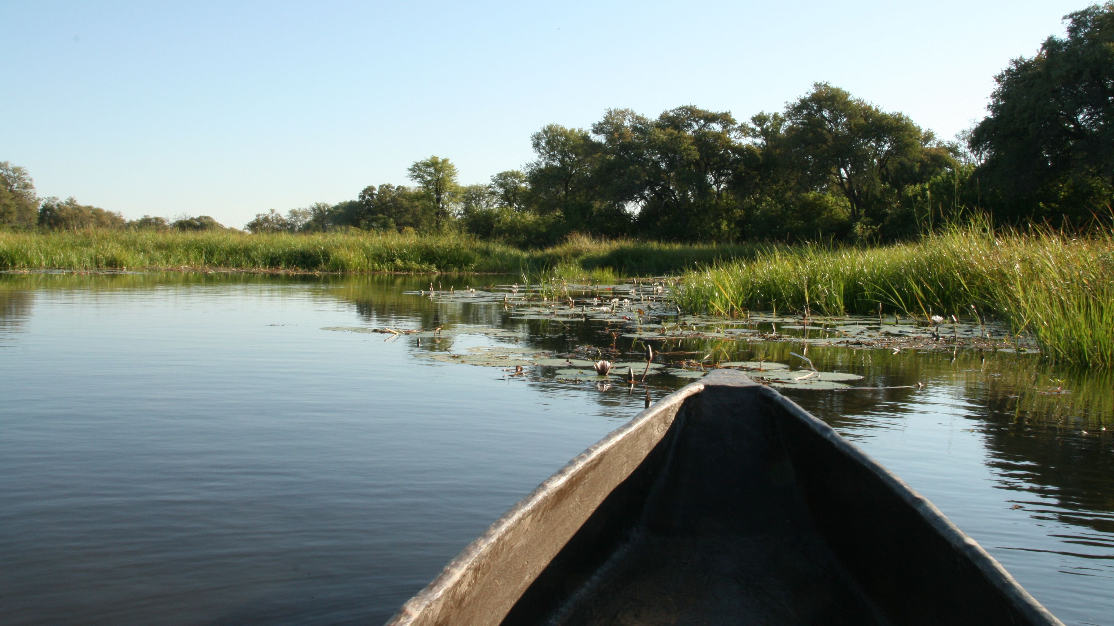 botswana-laenderinformationen-okavango-delta-mokoro-guidekurs-natucate