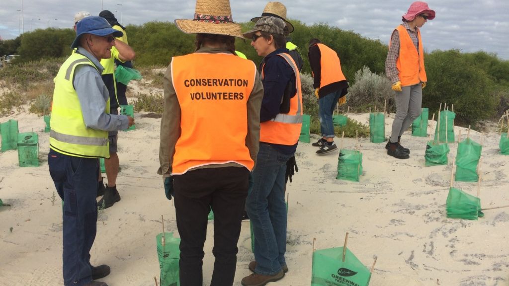 erfahrungsbericht-australien-kundenfotos-sabbatjahr-strandarbeit-natucate