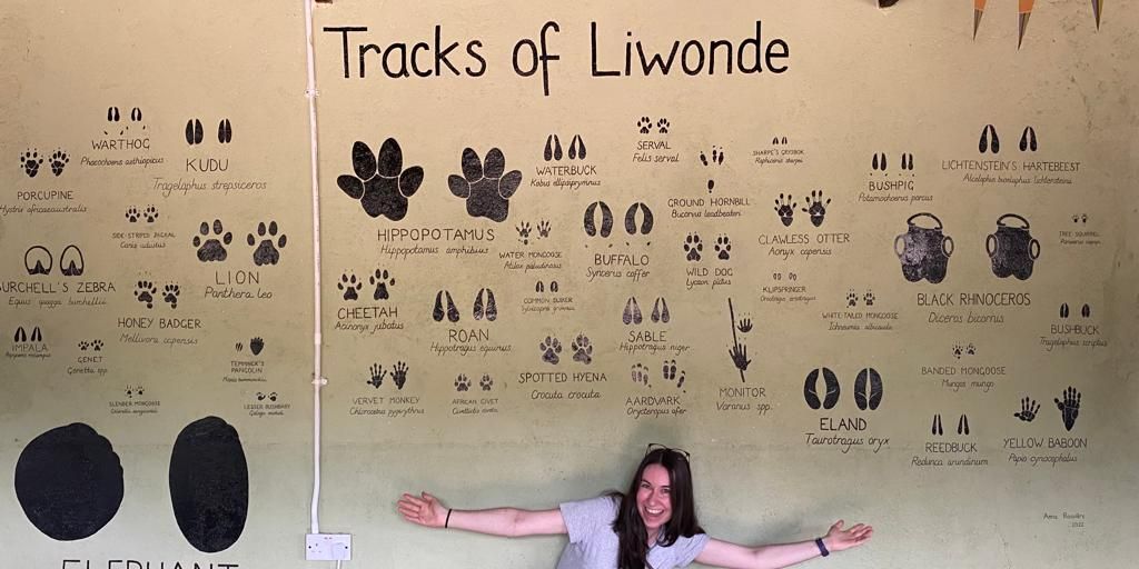 natucate-volunteering-malawi-wildlife-monitoring-track-wall