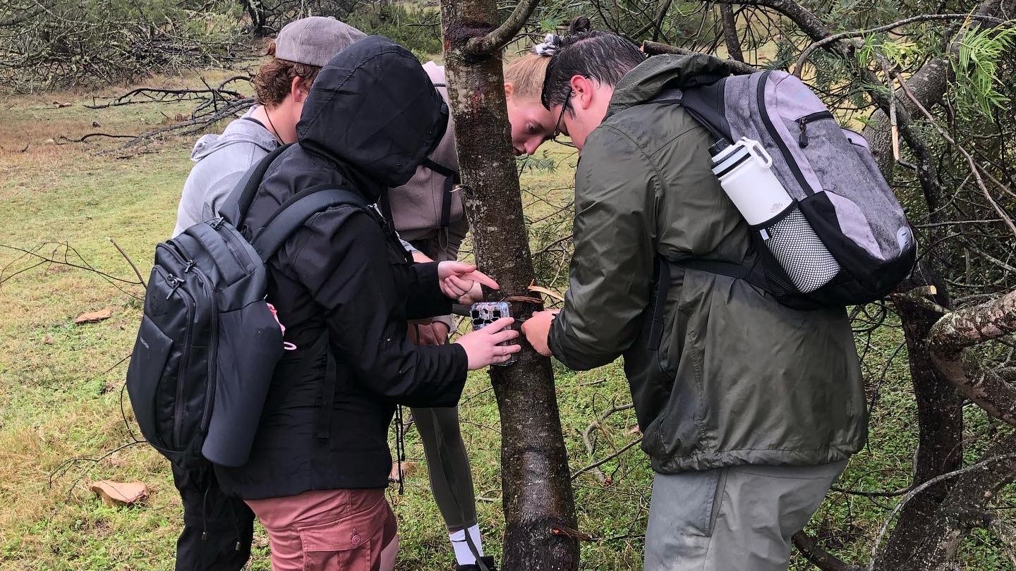 natucate-landingpage-citizen-science-south-africa-mossel-bay-research