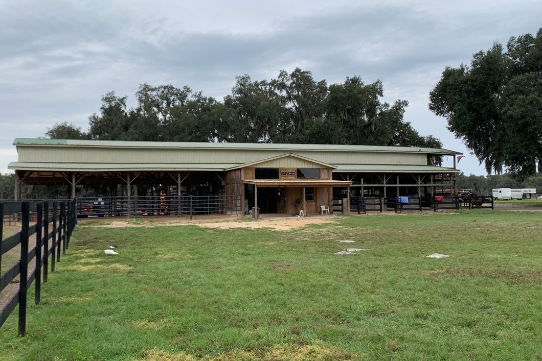 freiwilligenarbeit-usa-florida-tierschutz-mustangs-ranch-natucate