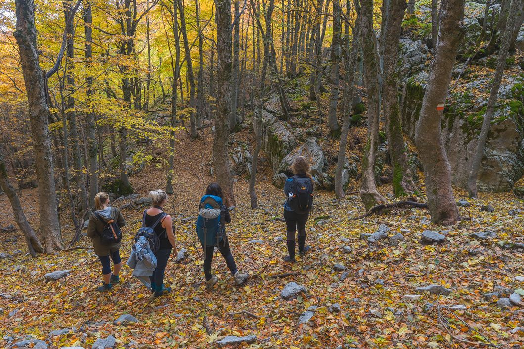 naturreise-italien-apennin-gruppe-natucate