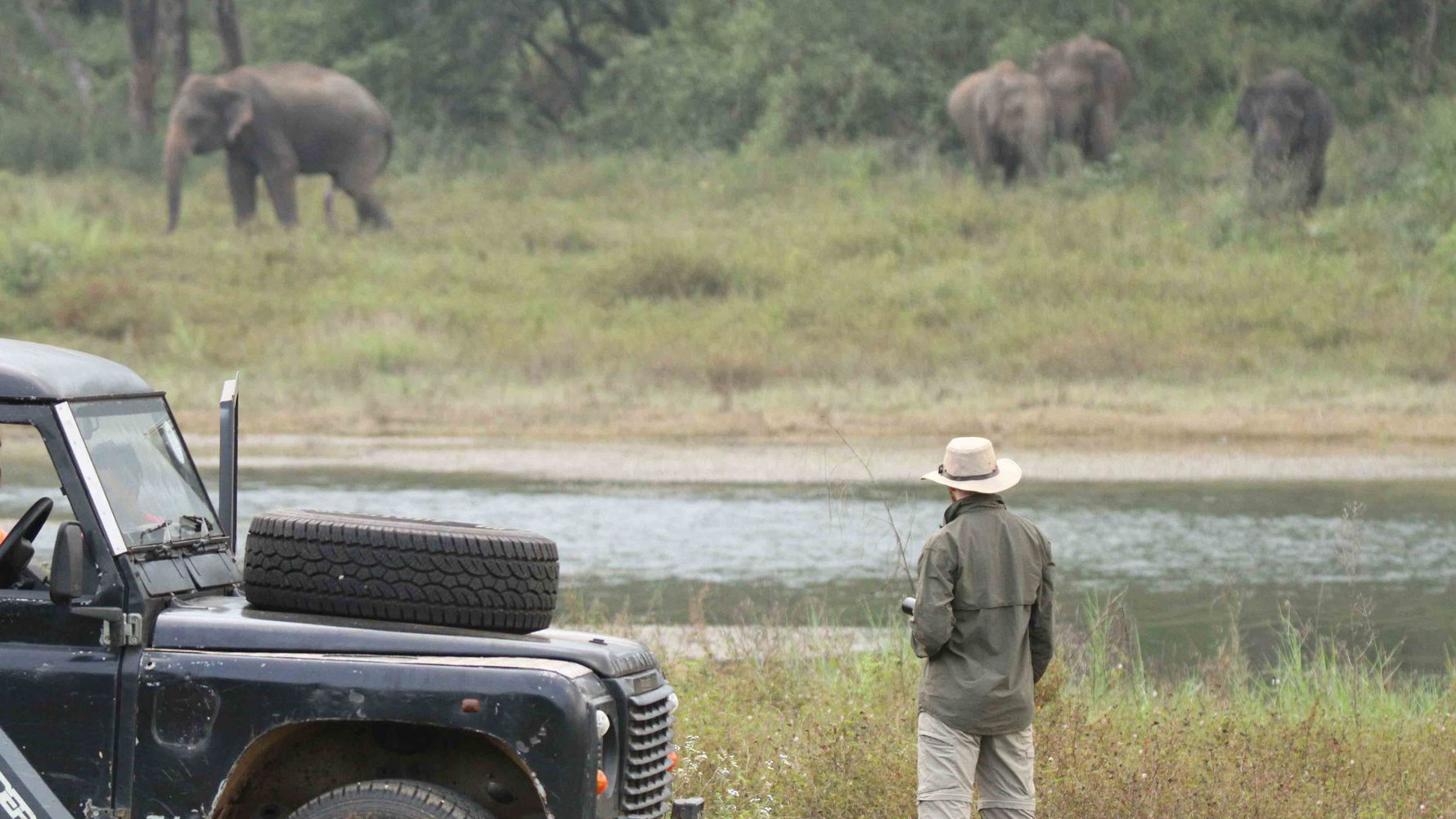 landingpage-auslandsjahr-abitur-freiwilligenarbeit-sri-lanka-elefanten-natucate