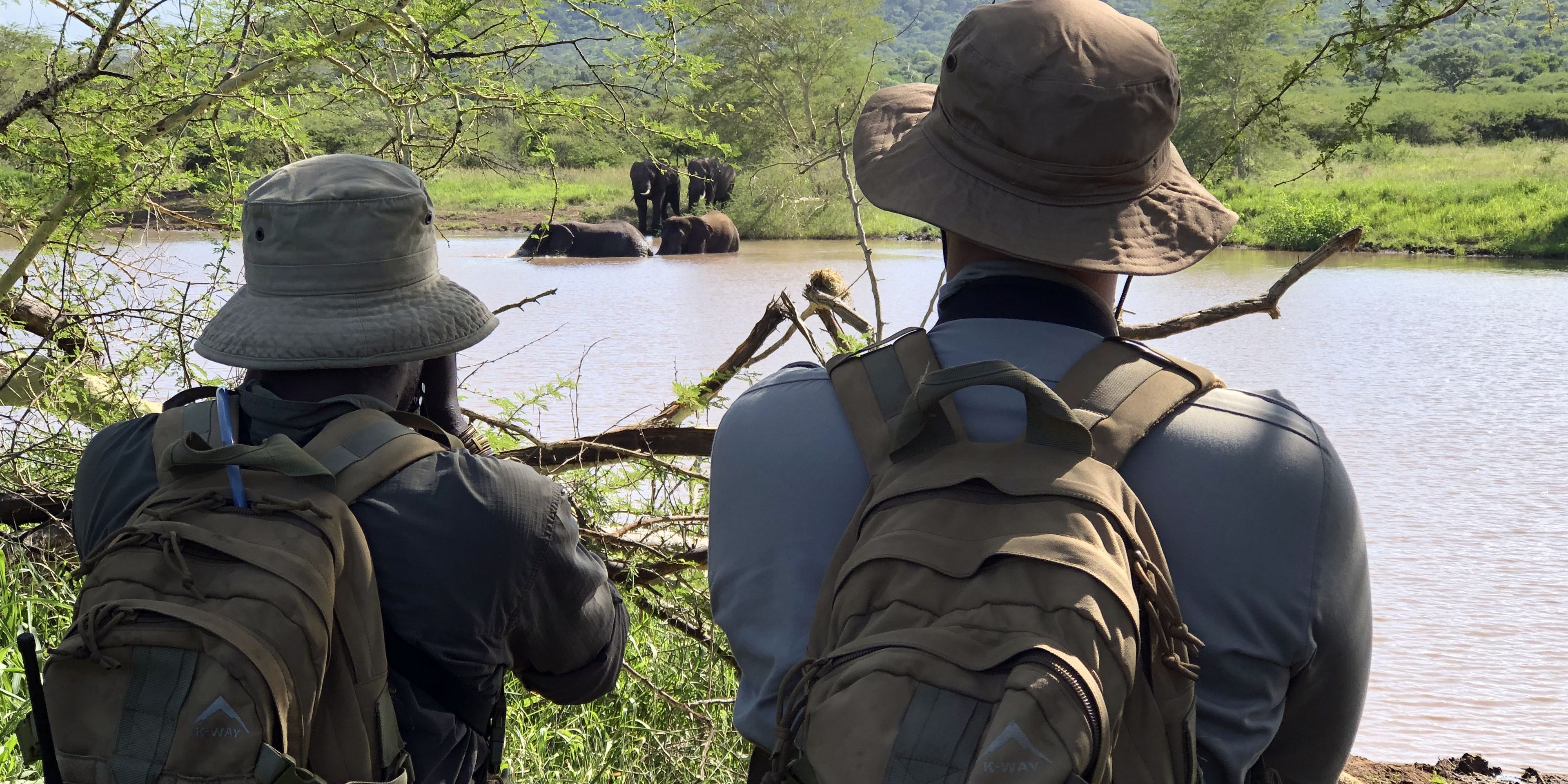 Trails Guide-Studenten in Afrika beobachten waehrend eines Game Walks Elefanten beim Baden