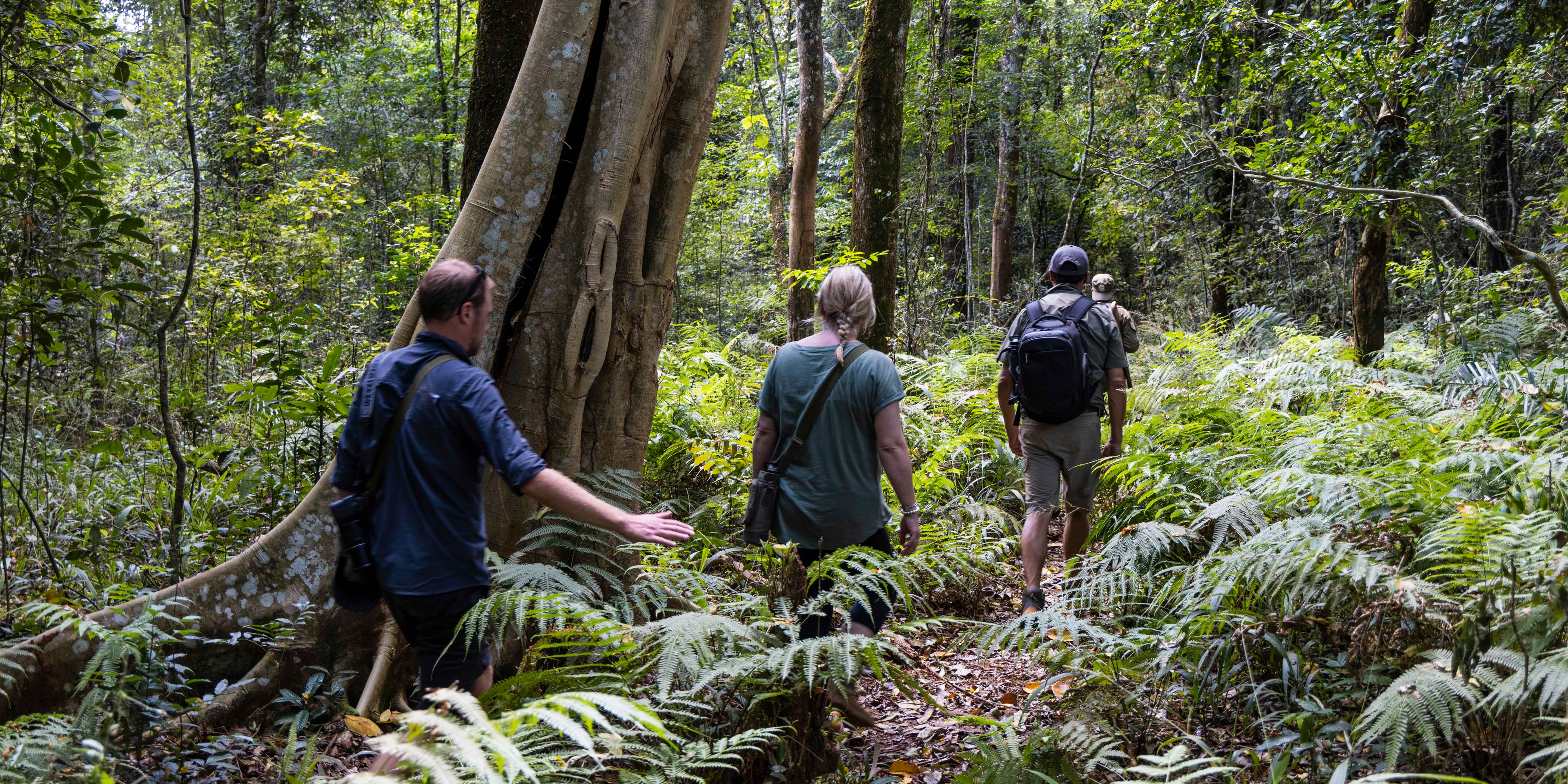 natucate-pwe-tanzania-rubondo-walk-fores-guests