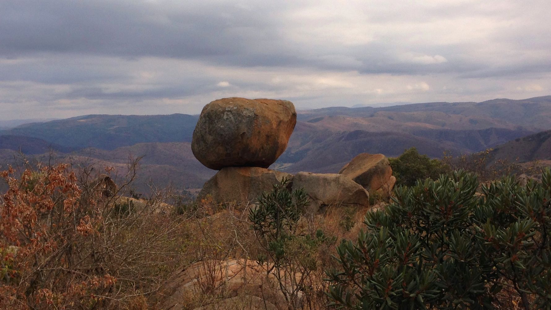 freiwilligenarbeit-suedafrika-erfahrungsbericht-kundenfotos-artenschutz-ausblick-natucate