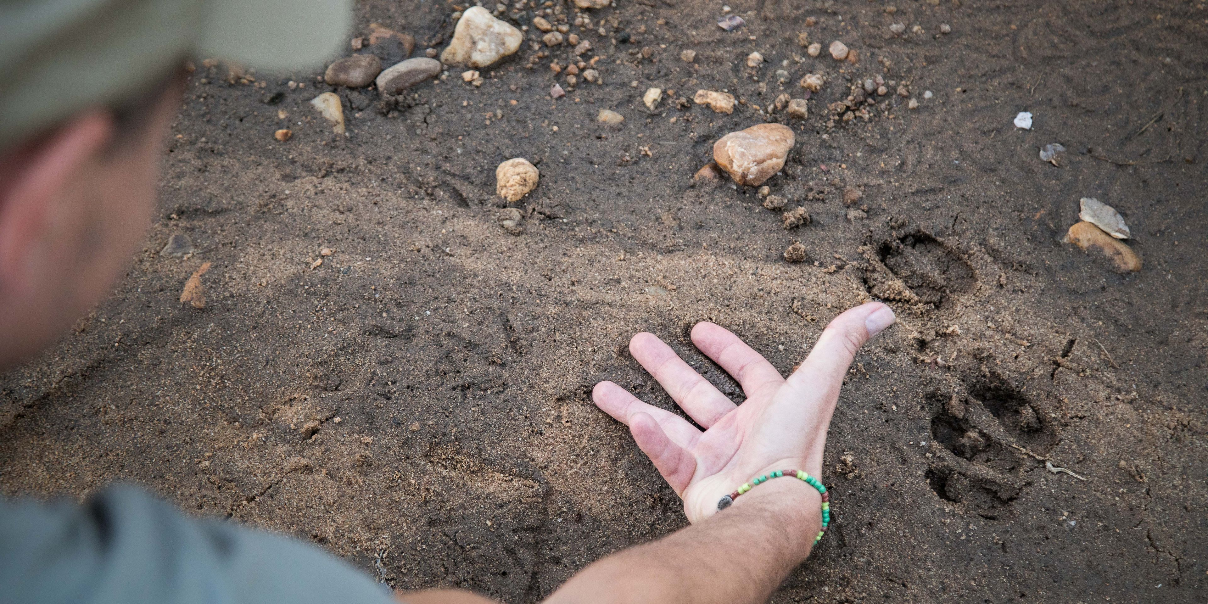 natucate-guide-course-safari-guide-scott-tracks-hand
