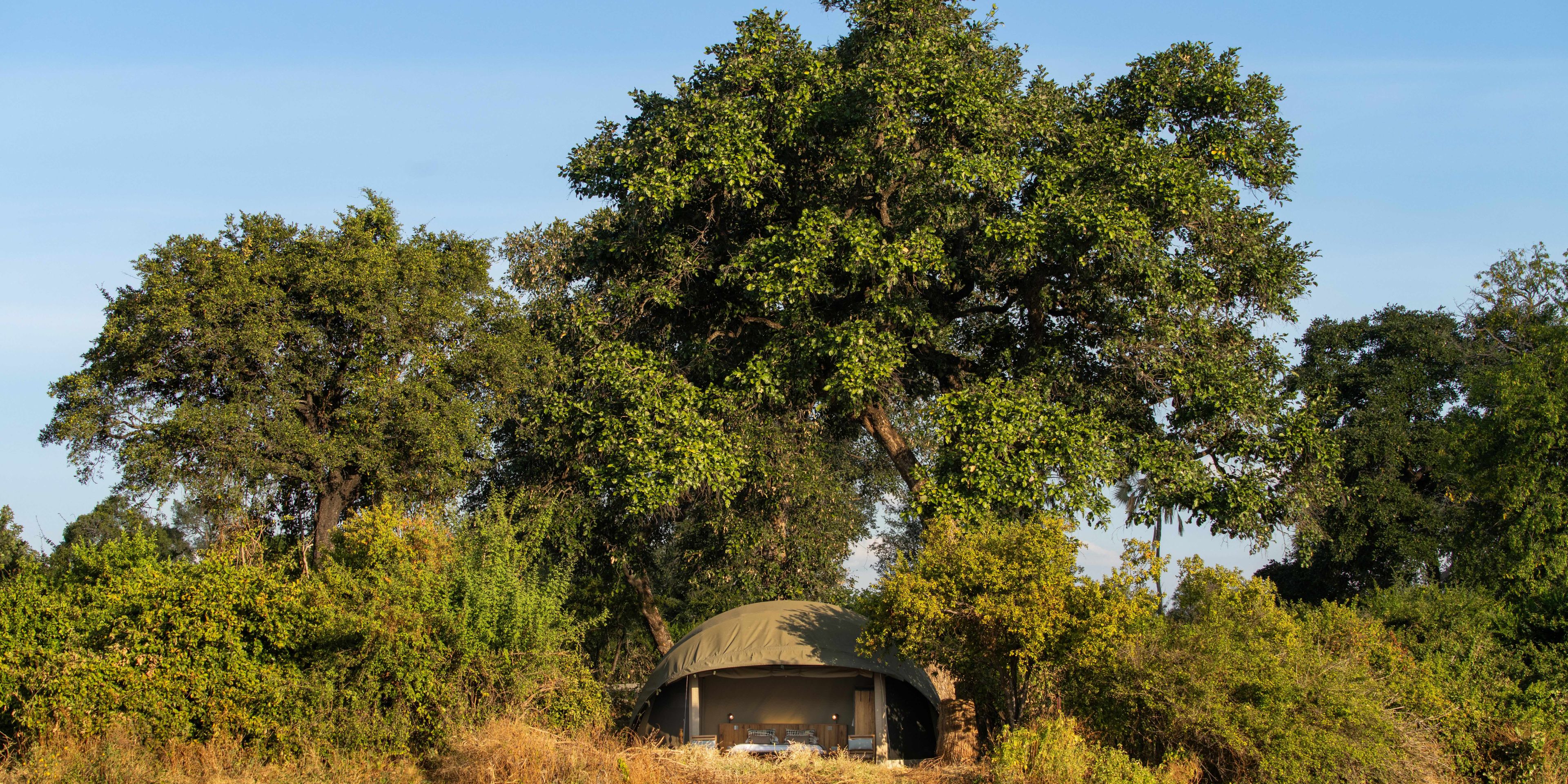 Hidden tent in the bush
