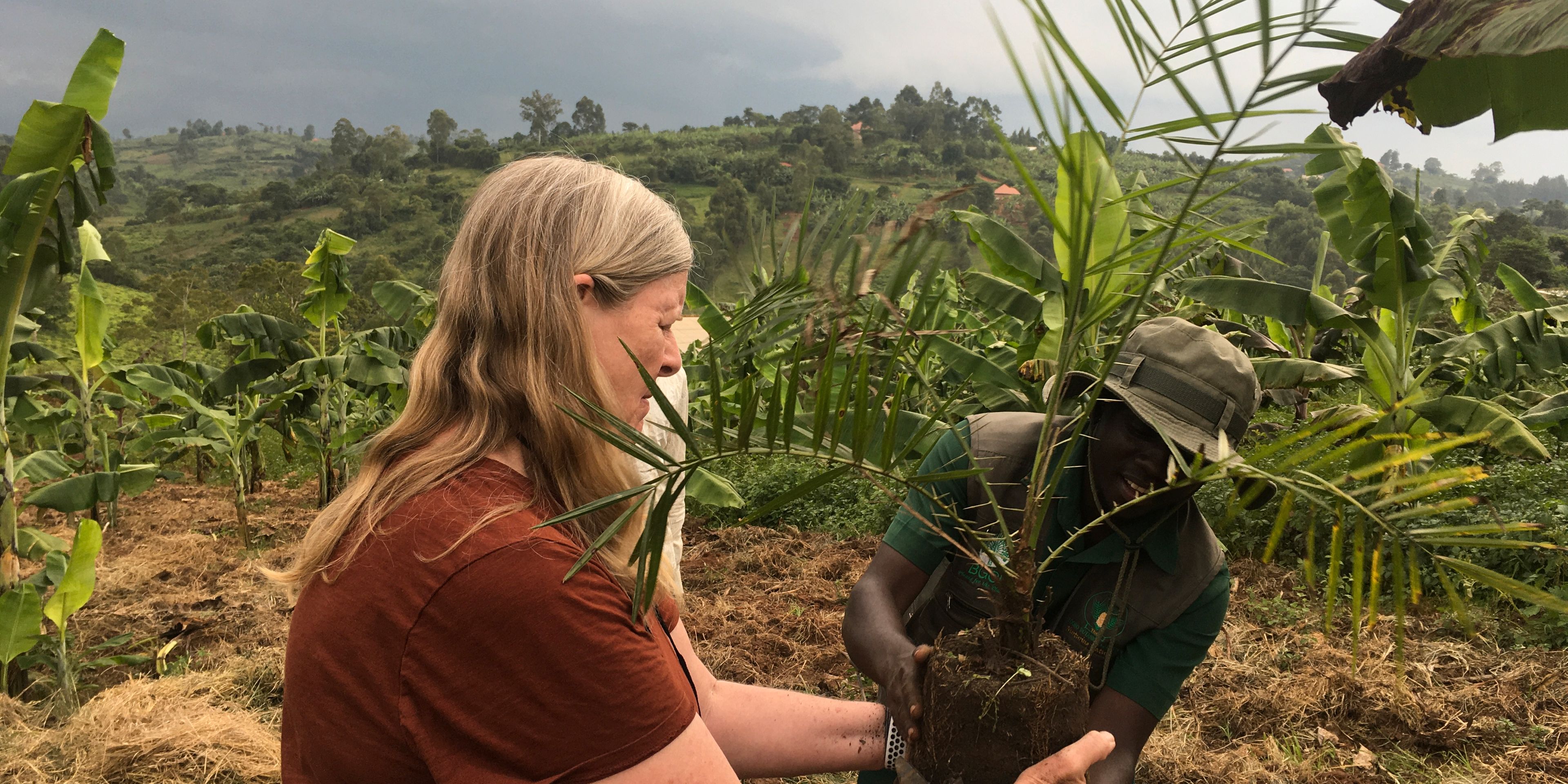 freiwilligenarbeit-uganda-pflanzen-baeume