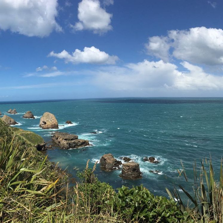 Naturschutz: Der Leuchtturm am Nugget Point in Neuseeland ueberragt die Kueste
