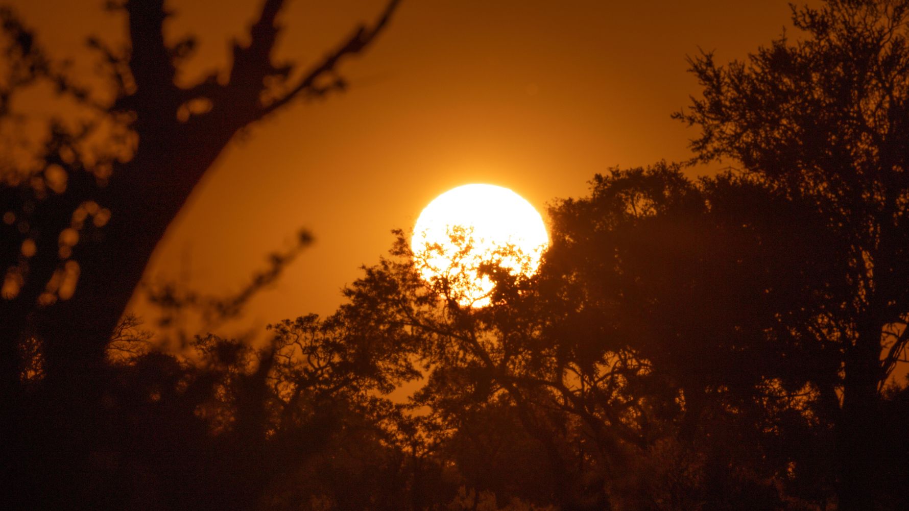 natucate-blog-africa-golden-hours-sunset