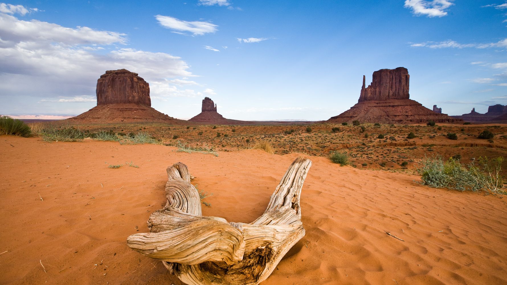 Volunteer abroad USA: Desert landscape in the United States