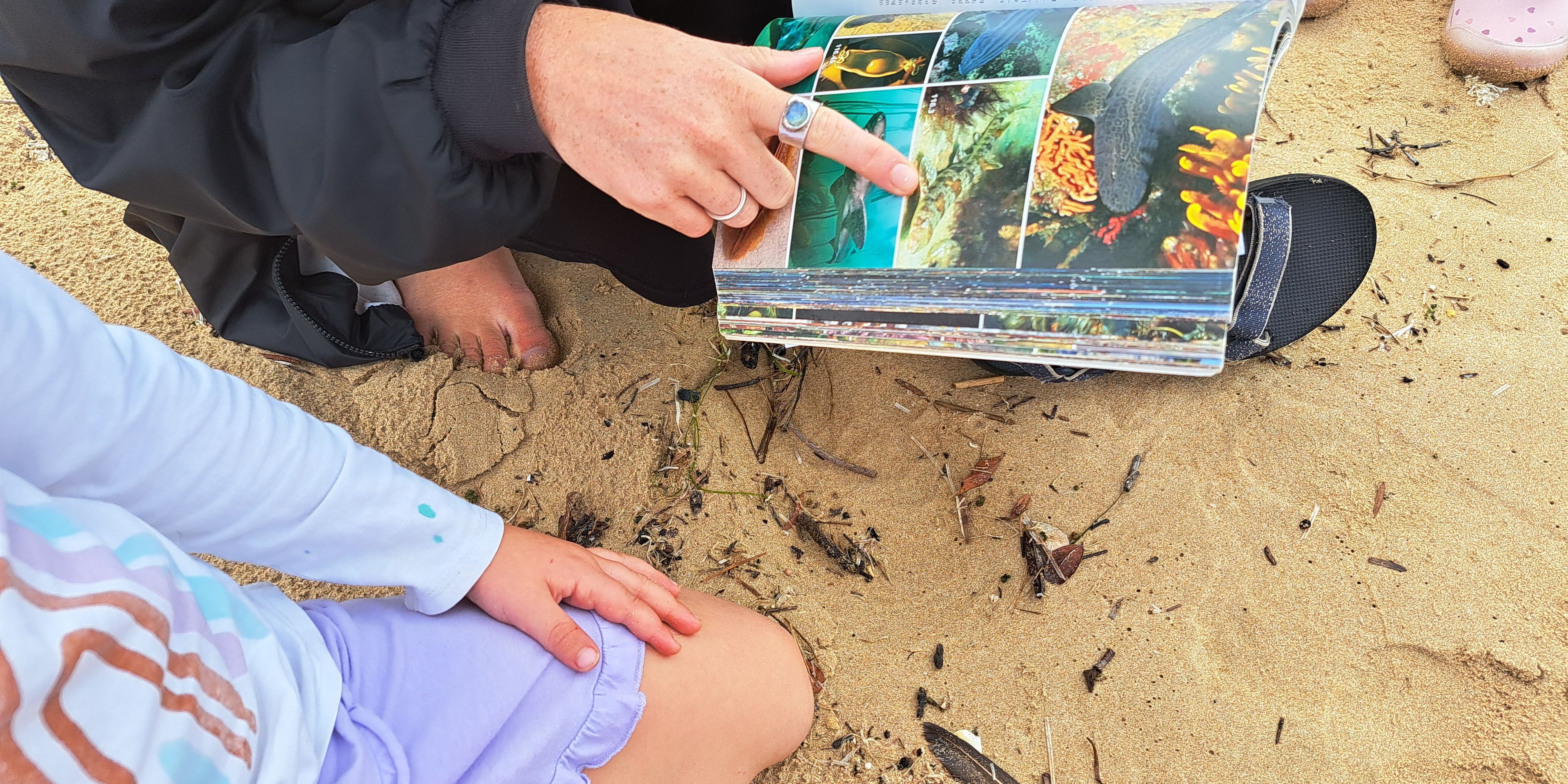 natucate-internship-south-africa-nature-valley-trust-forschung-strand-buch-identifizierung