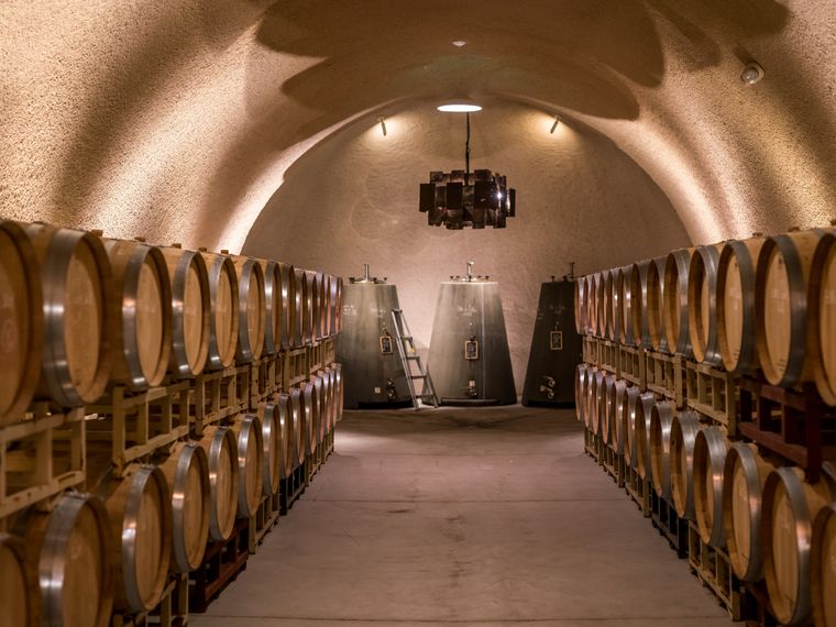 erfahrungsberichte-praktikum-usa-weinbau-michael-weinlagerung