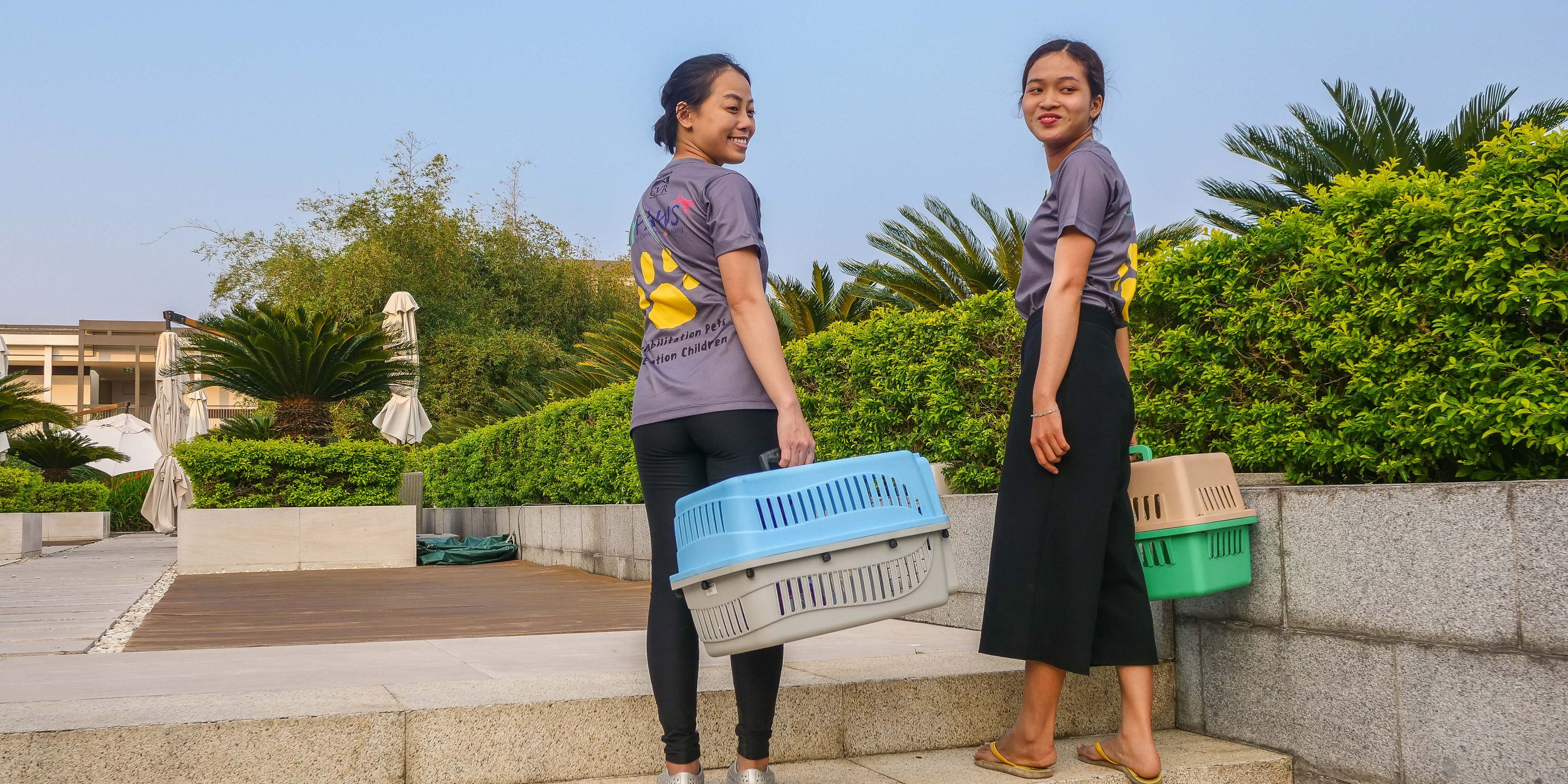 freiwilligenarbeit-vietnam-da-nang-tierschutz-volunteers-natucate