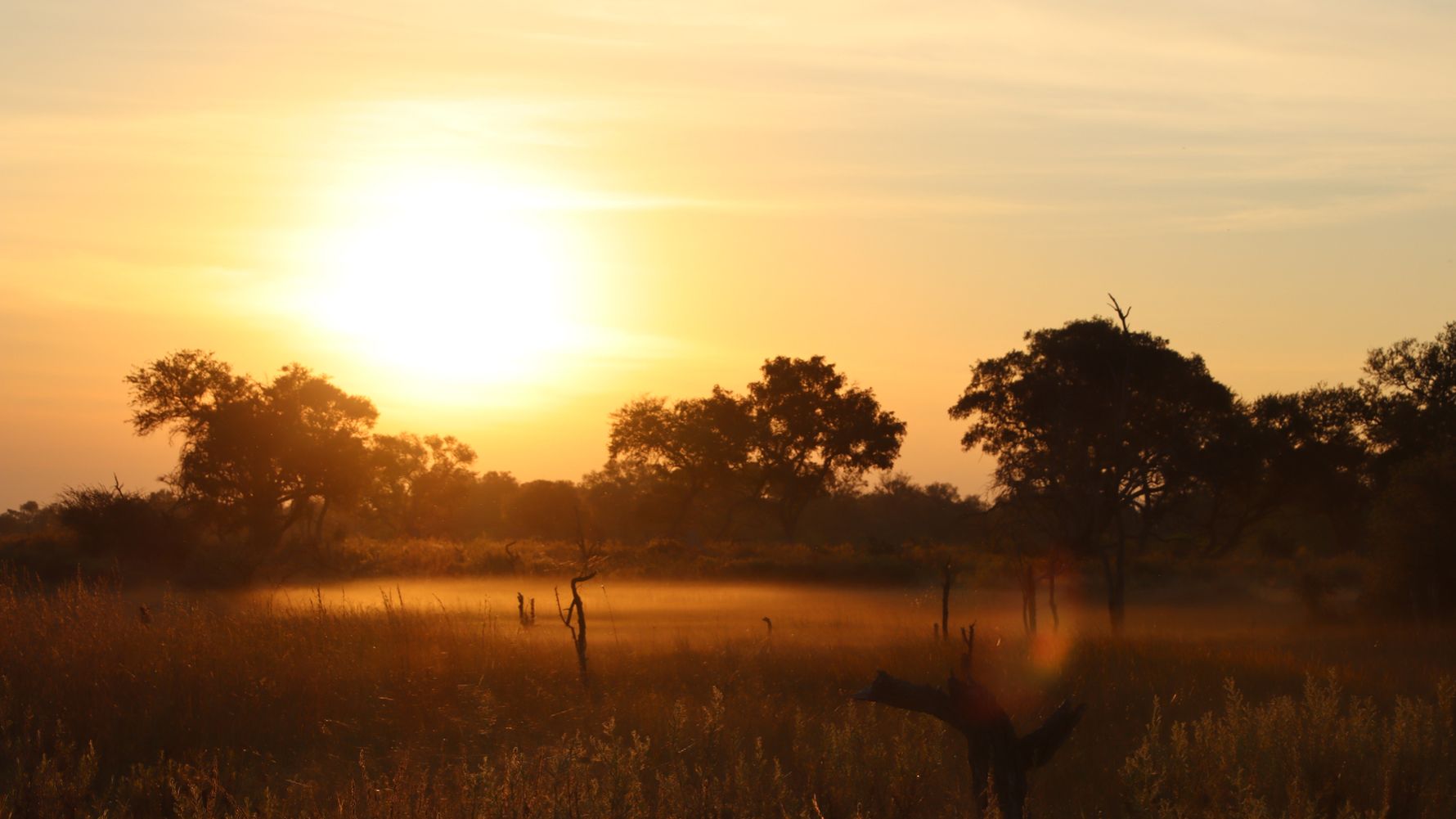 erfahrungsbericht-freiwilligenarbeit-namibia-rangerkurs-botswana-jacqueline-okavango-delta-natucate