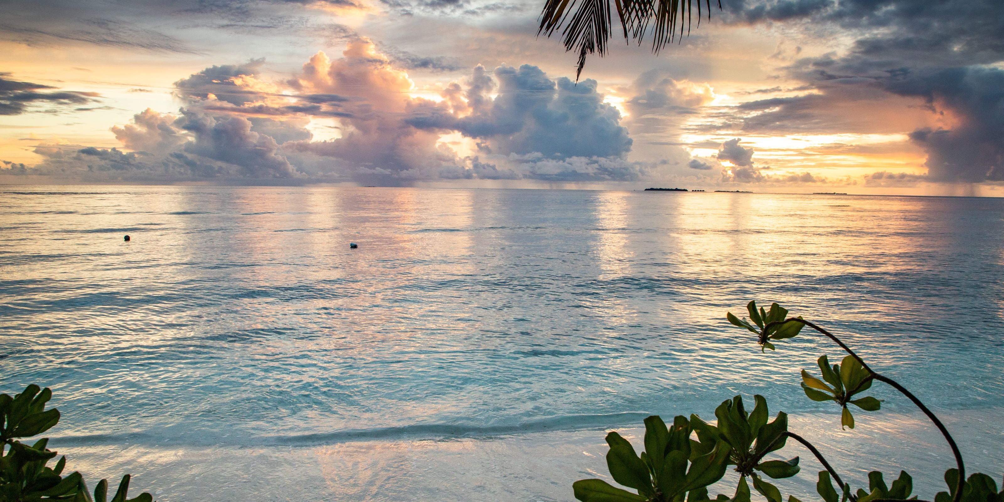natucate-pwe-maldives-beach-nature