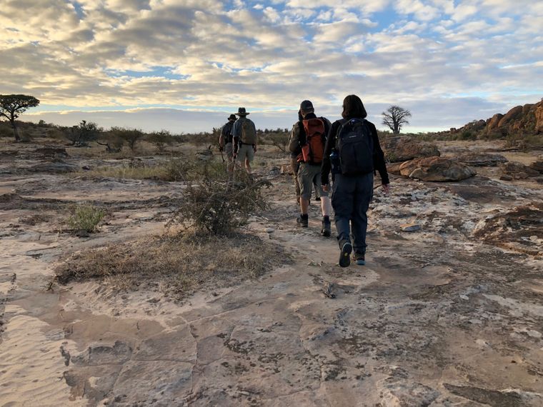 blog-ratgeber-fuenf-gruende-nachhaltig-reisen-afrika-bushwalk-natucate