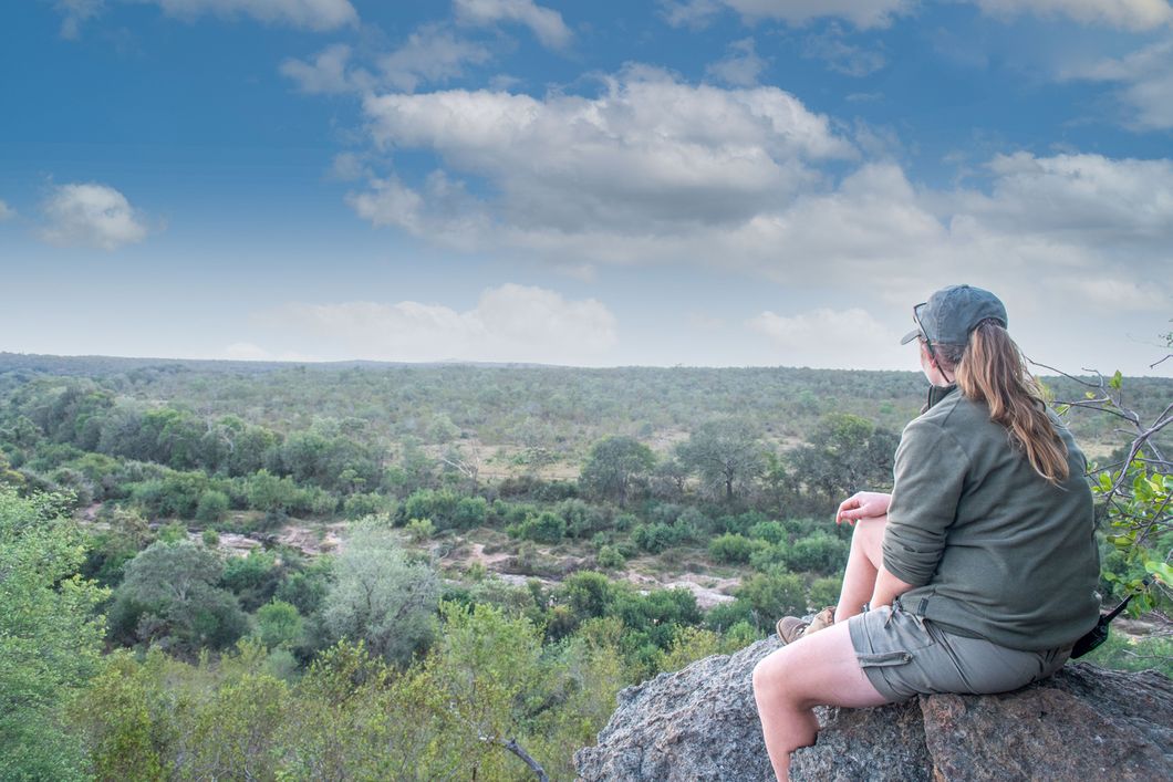 freiwilligenarbeit-suedafrika-siyafunda-wildlife-monitoring-observation-natucate