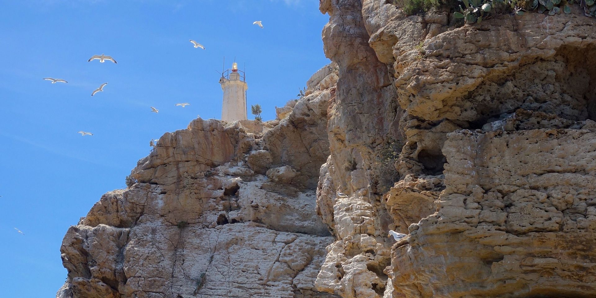 freiwilligenarbeit-spanien-denia-naturschutz-europa-felsen-natucate